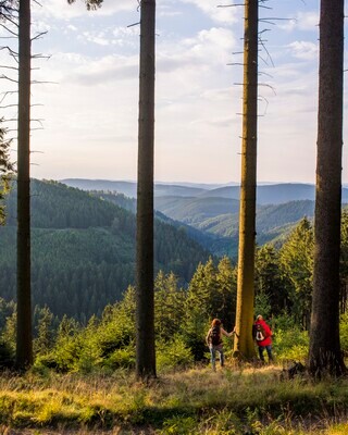 Ein Paar steht auf einem Waldpfad im Rothaargebirge und bewundert das weitläufige Tal mit seinen grünen Hügeln unter einem blauen Himmel.